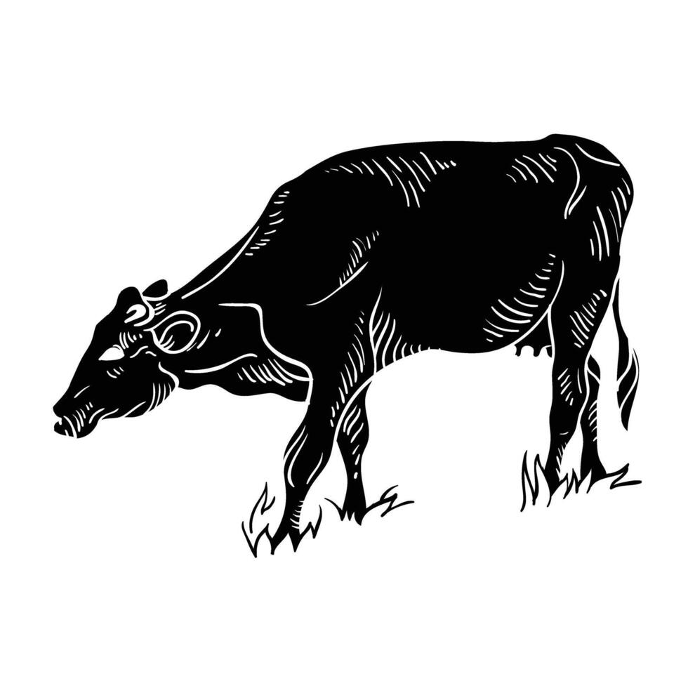 Cow hand drawing vector