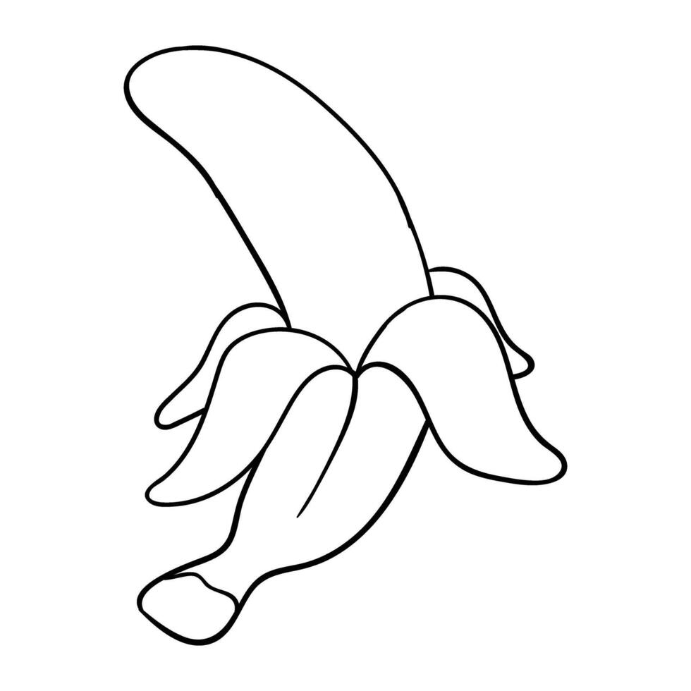 Banana hand drawing vector