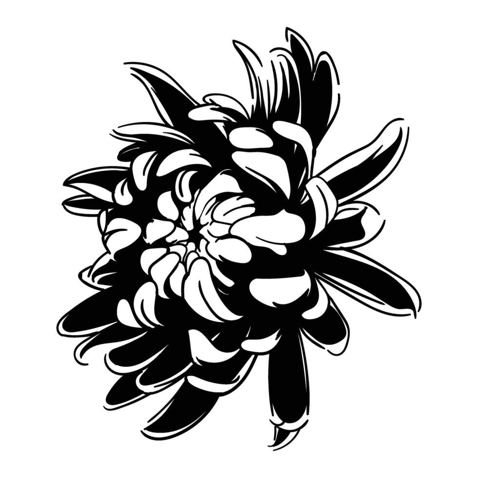 Flower hand drawing vector