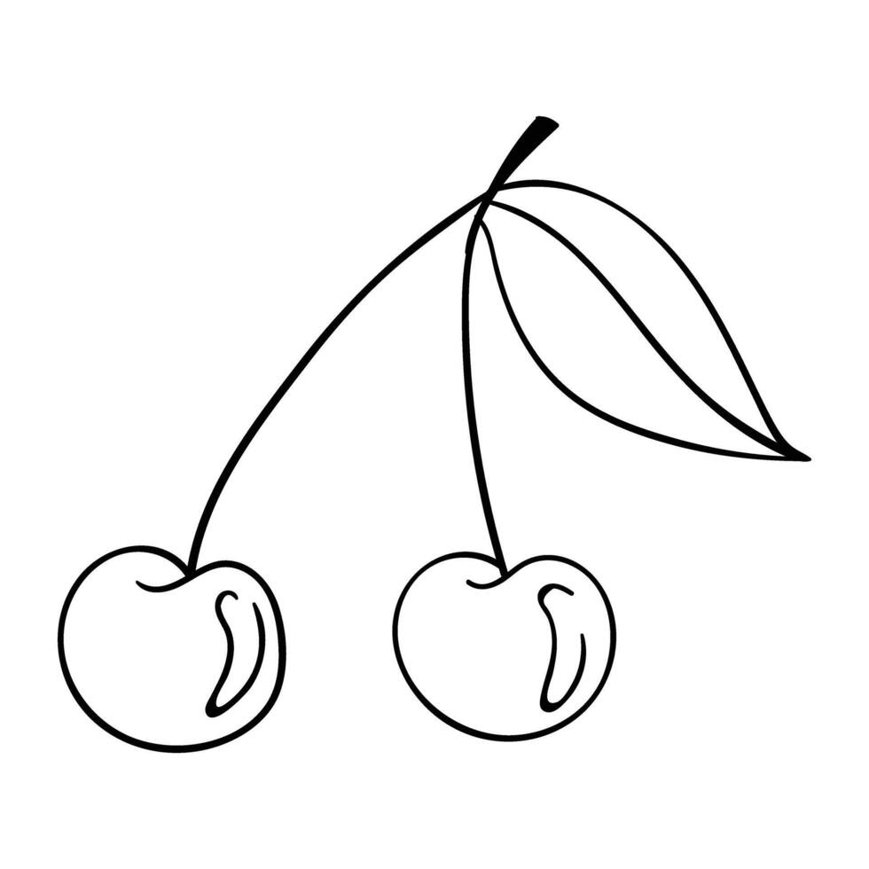 cherry hand drawing vector