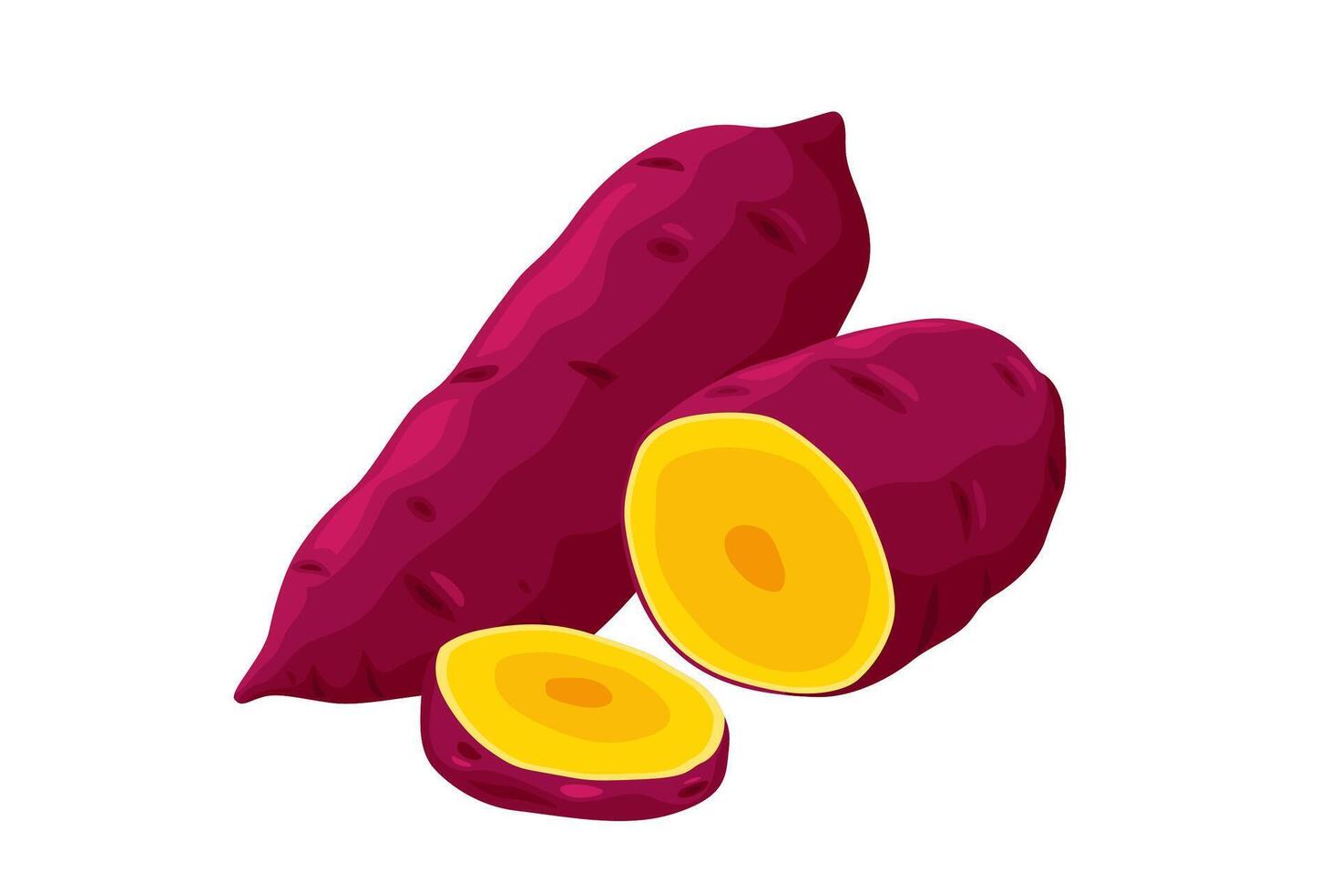 Sweet Potato on white background. vector