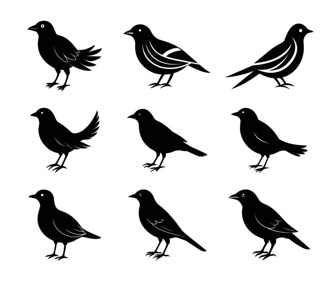Collection of Silhouetted Birds vector