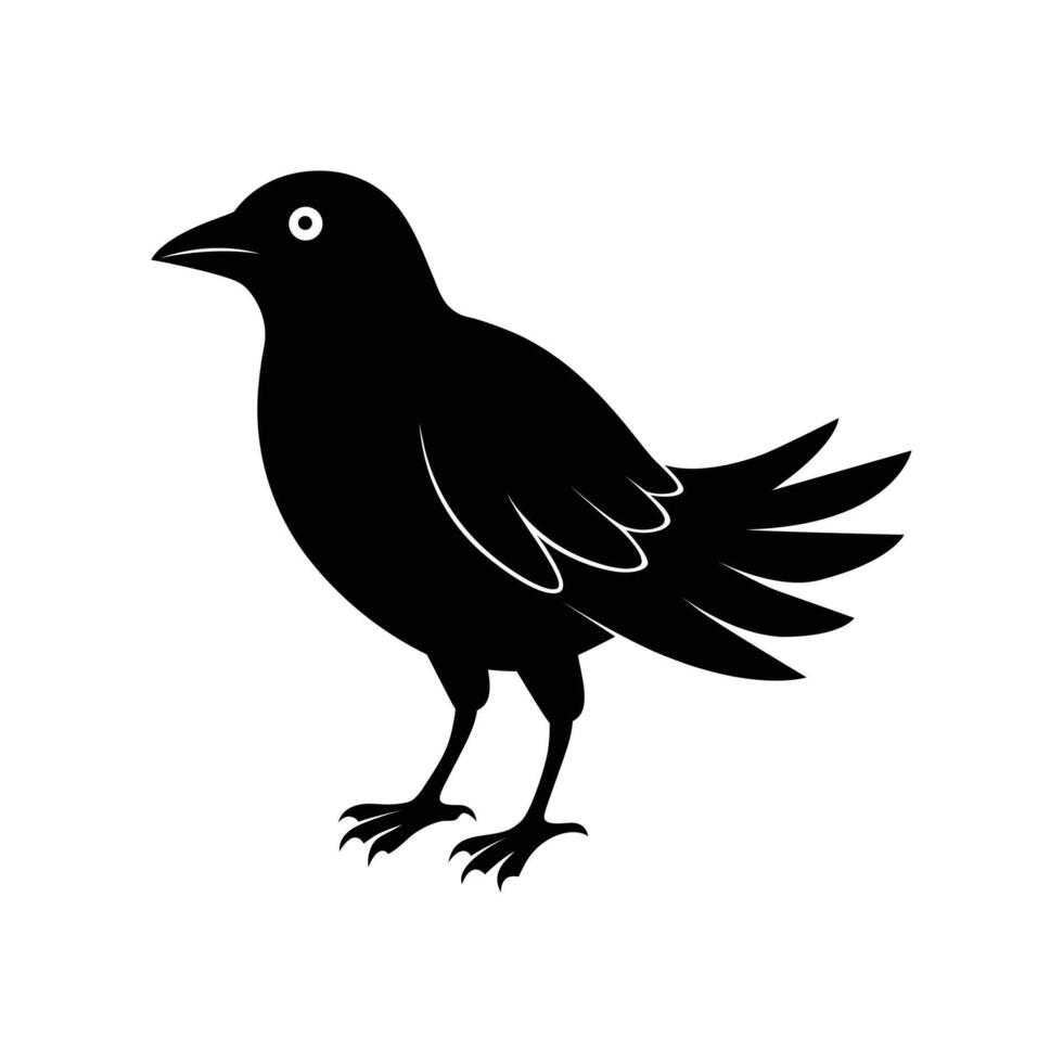Black crow silhouette isolated on white vector
