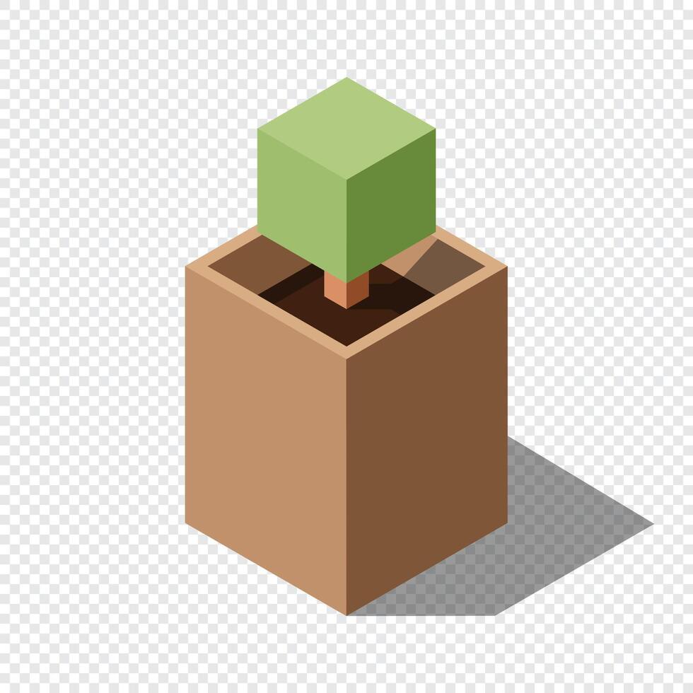 Isometric plant. Isometric potted plant illustration. Isometric tree. Tree isometric elements. Isometric illustration vector