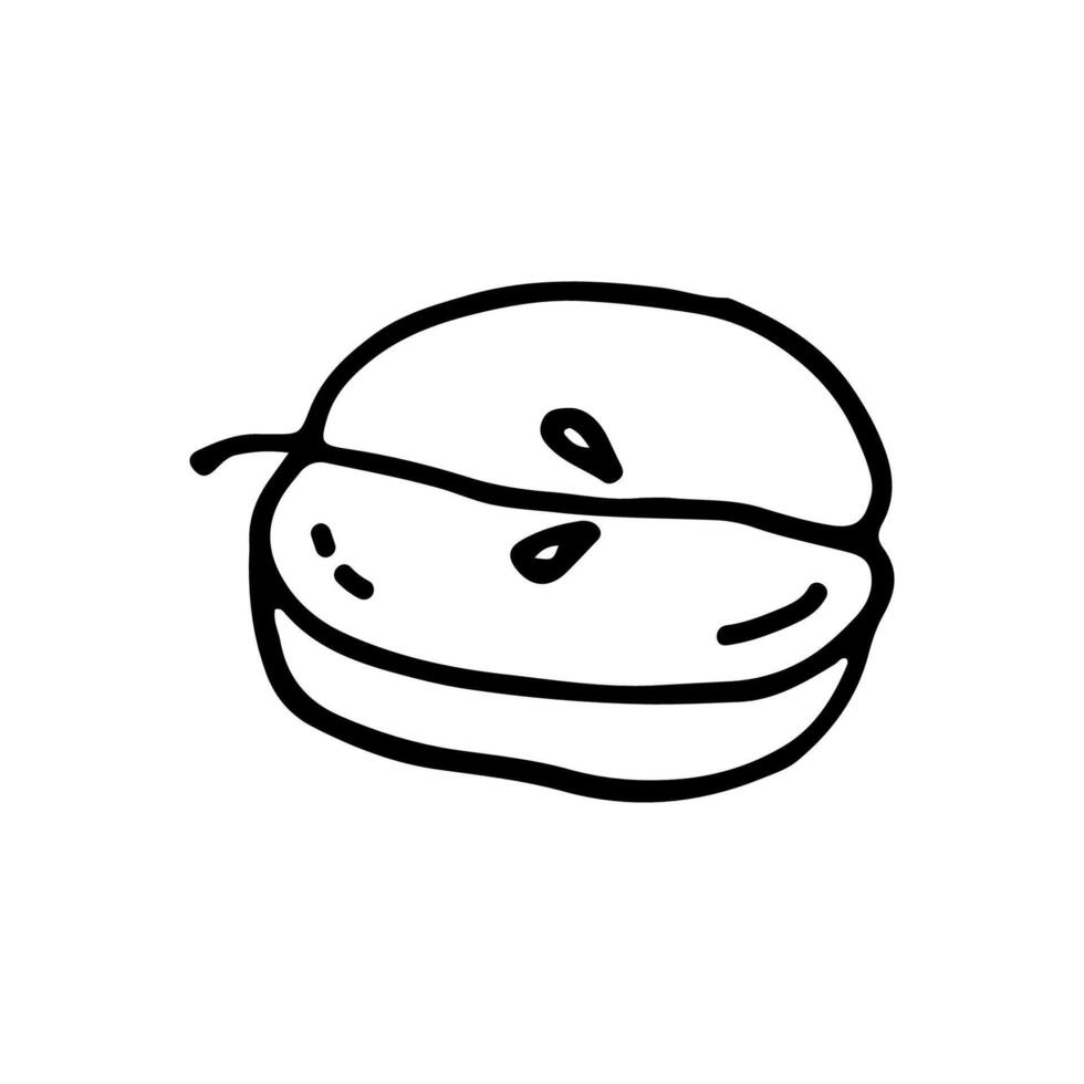 Half an apple. Fruit. Autumn. Doodle. Hand drawn. Outline. vector