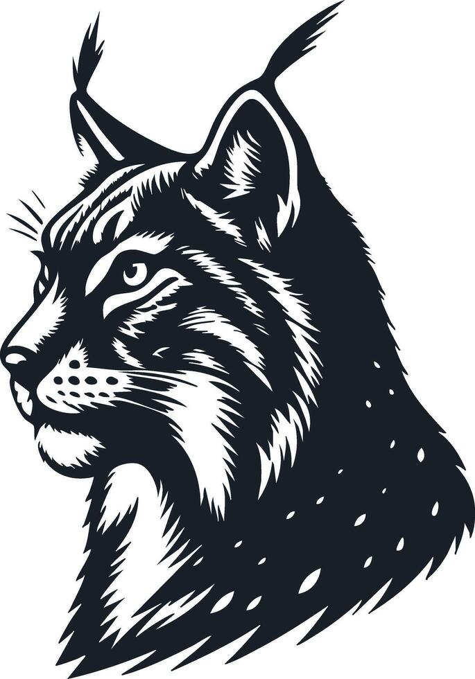 Detailed Lynx Artwork for Nature Themes vector