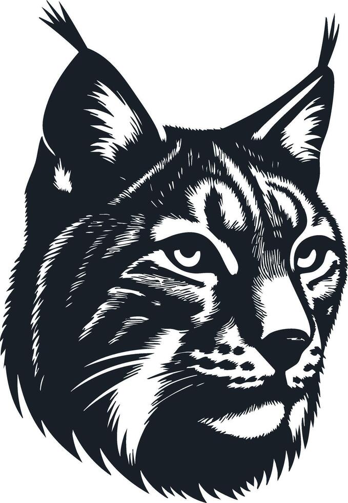 1Lynx Drawing for Artistic Wildlife Projects vector