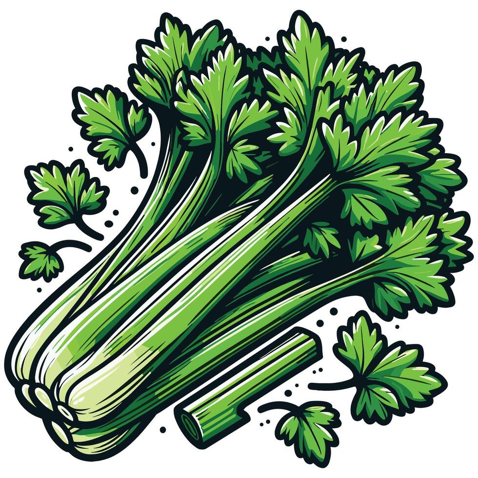 Fresh Green Celery Stalks with Leaves in Detailed Organic Vegetable Illustration for Food and Health Concepts vector