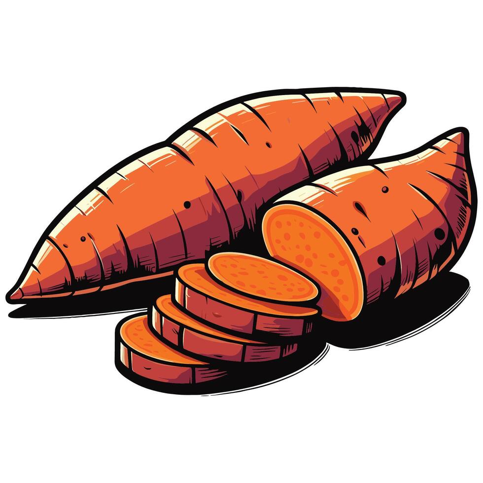 Freshly Harvested Sweet Potato Whole and Chopped Slices Illustration vector