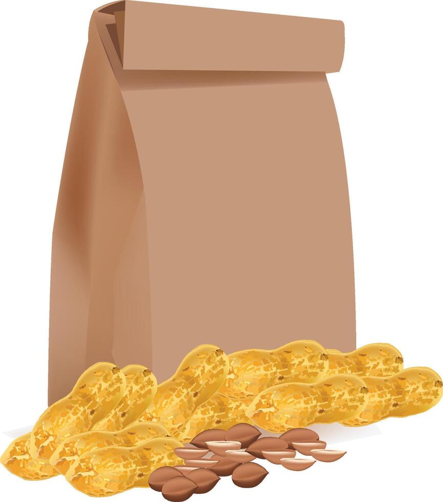 Peanuts and paper bag vector