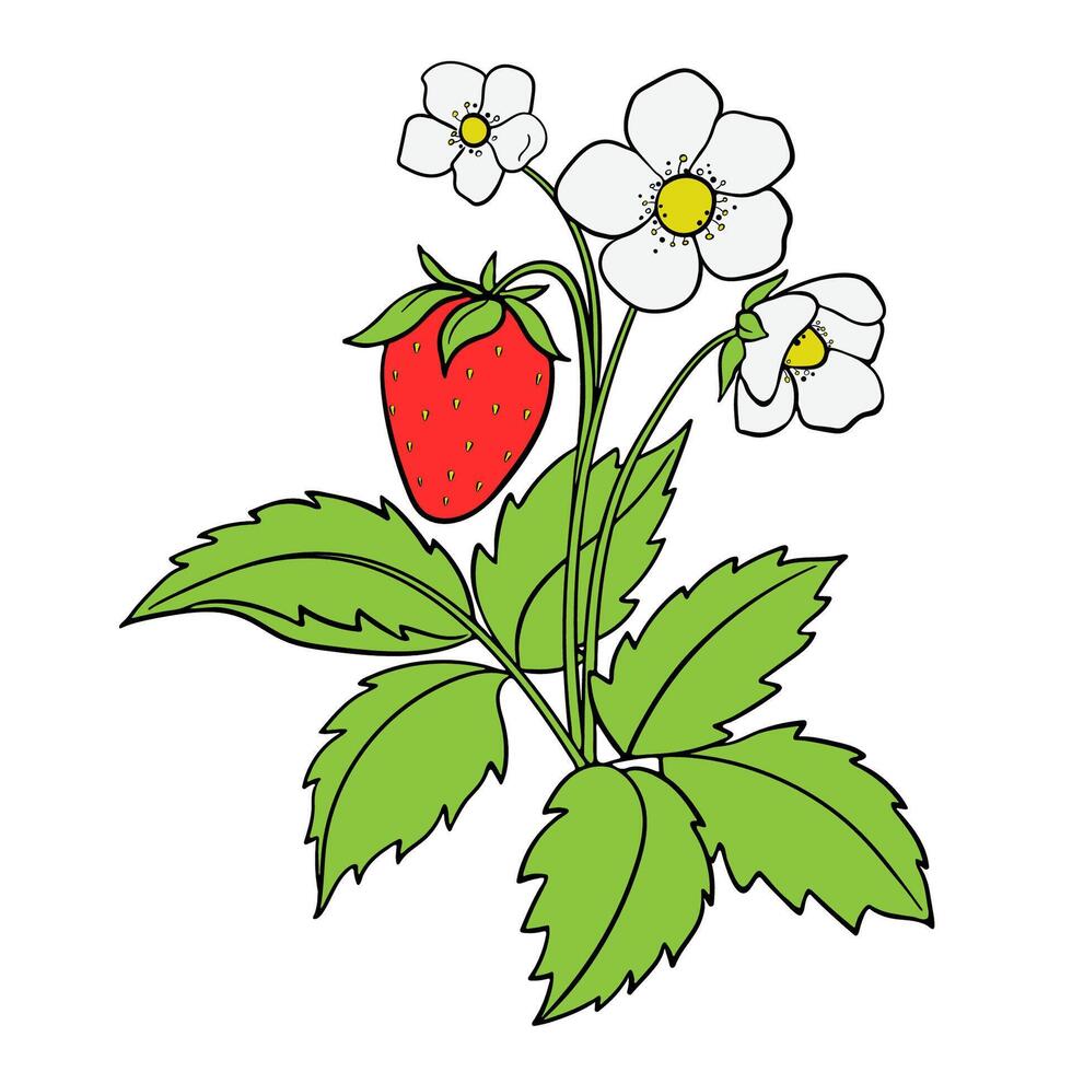 Illustration of a Colorful Strawberry Bush with Berries, Flowers and Leaves vector