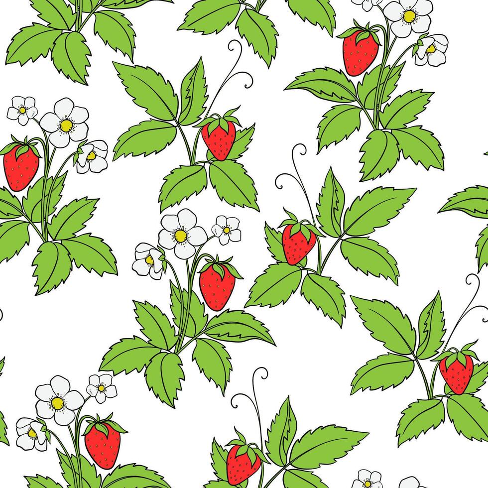 Seamless Pattern With Drawn Strawberry Bushes On A White Background vector