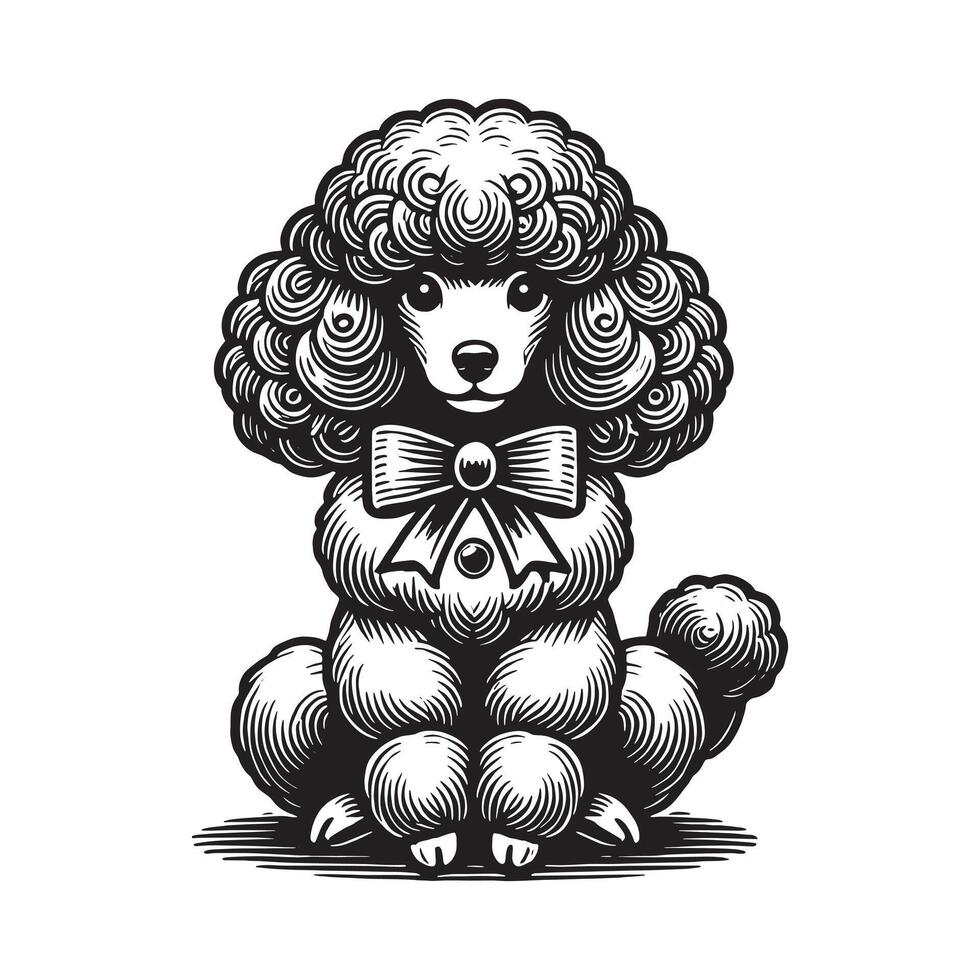 Poodle Black and White Isolated Icon vector