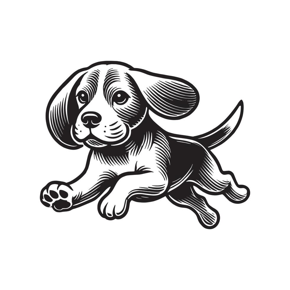 Beagle Dog running Design vector