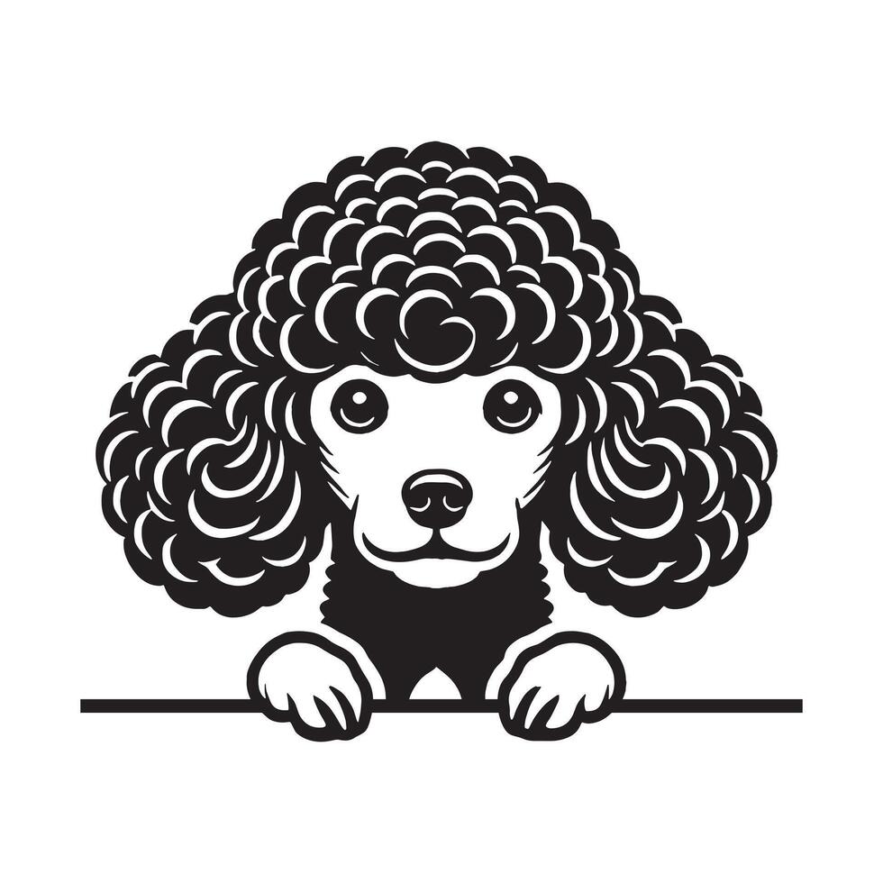 Poodle Dog A Fearful Poodle Dog face vector
