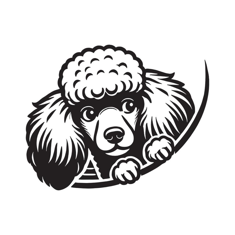 A Stern Bichon Frise Dog face illustration in black and white vector