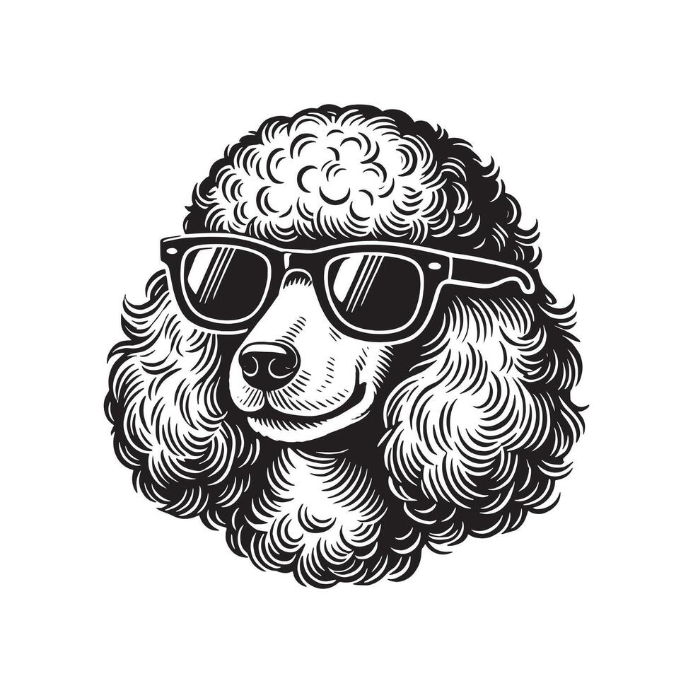 hand drawn line art illustration of Toy Poodle in side view vector