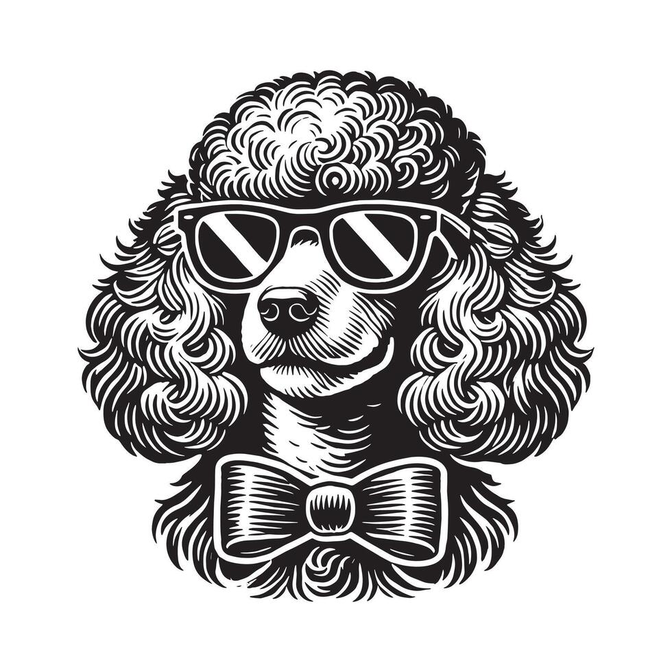 Poodle Face, Silhouette Dog vector