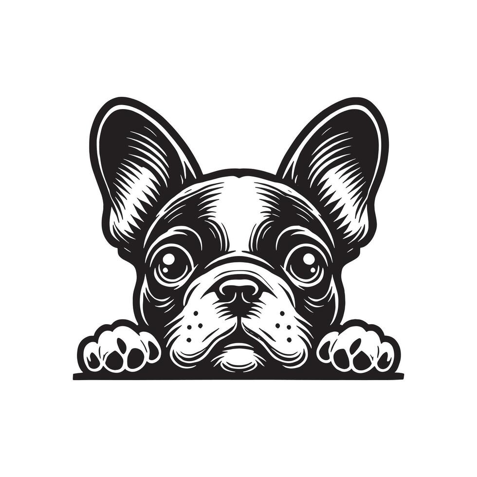 Cute french bulldog puppy cream color cartoon, vector
