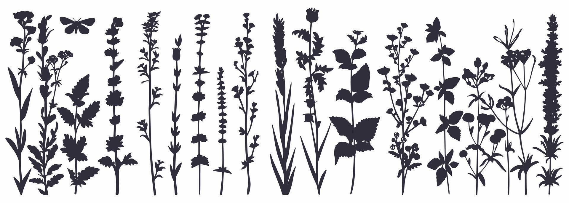 Black silhouettes of grass, flowers, and herbs with insects, hand-drawn on white background. vector