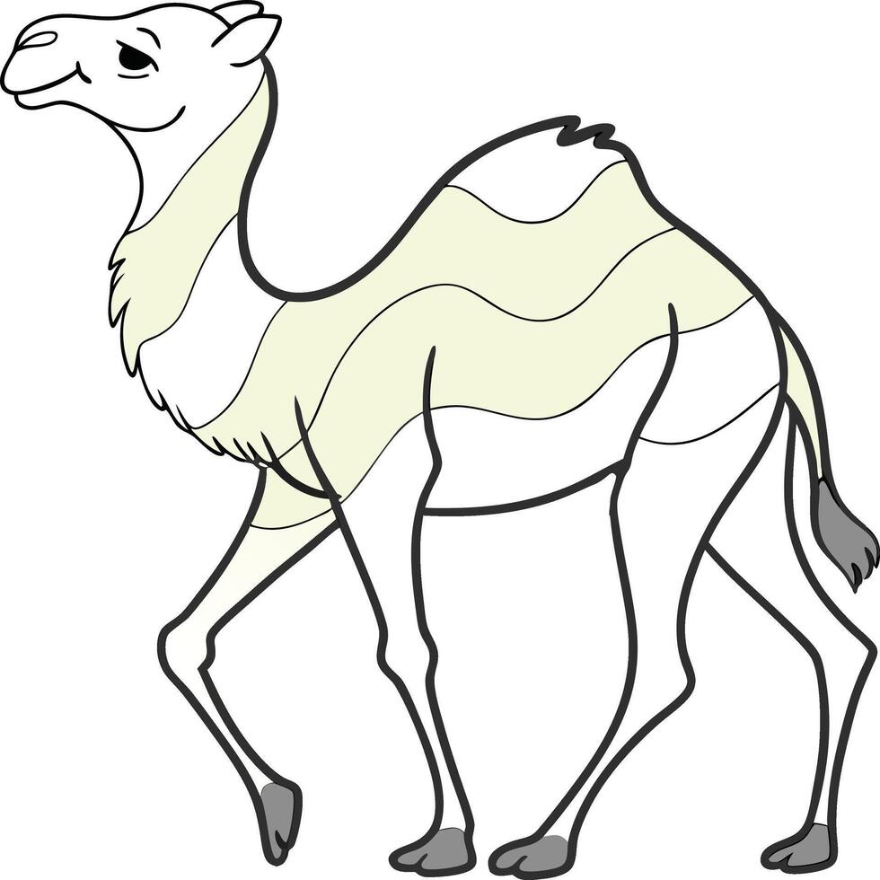 A camel is standing in a line on a white background vector