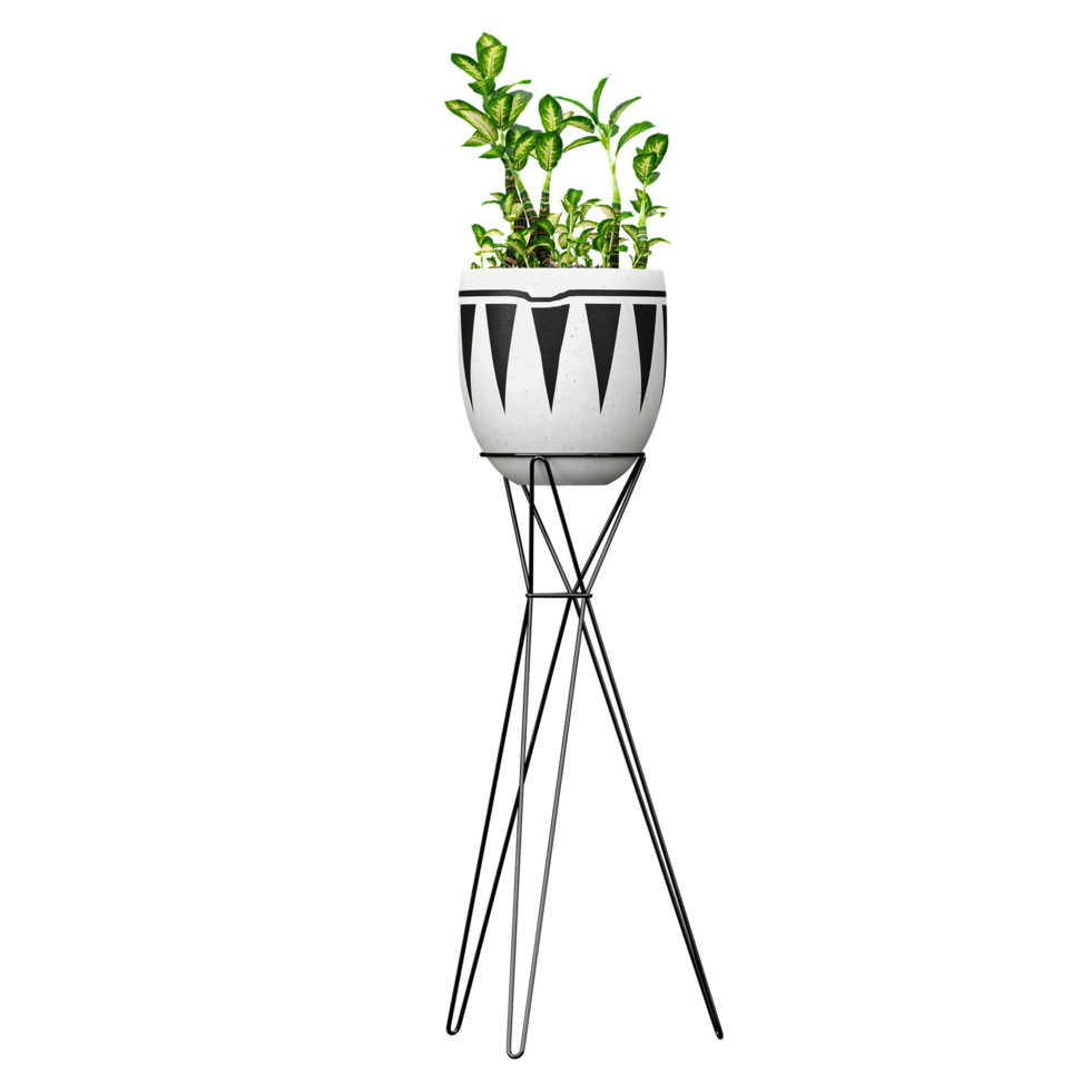Potted plants isolated on transparent Canvas png