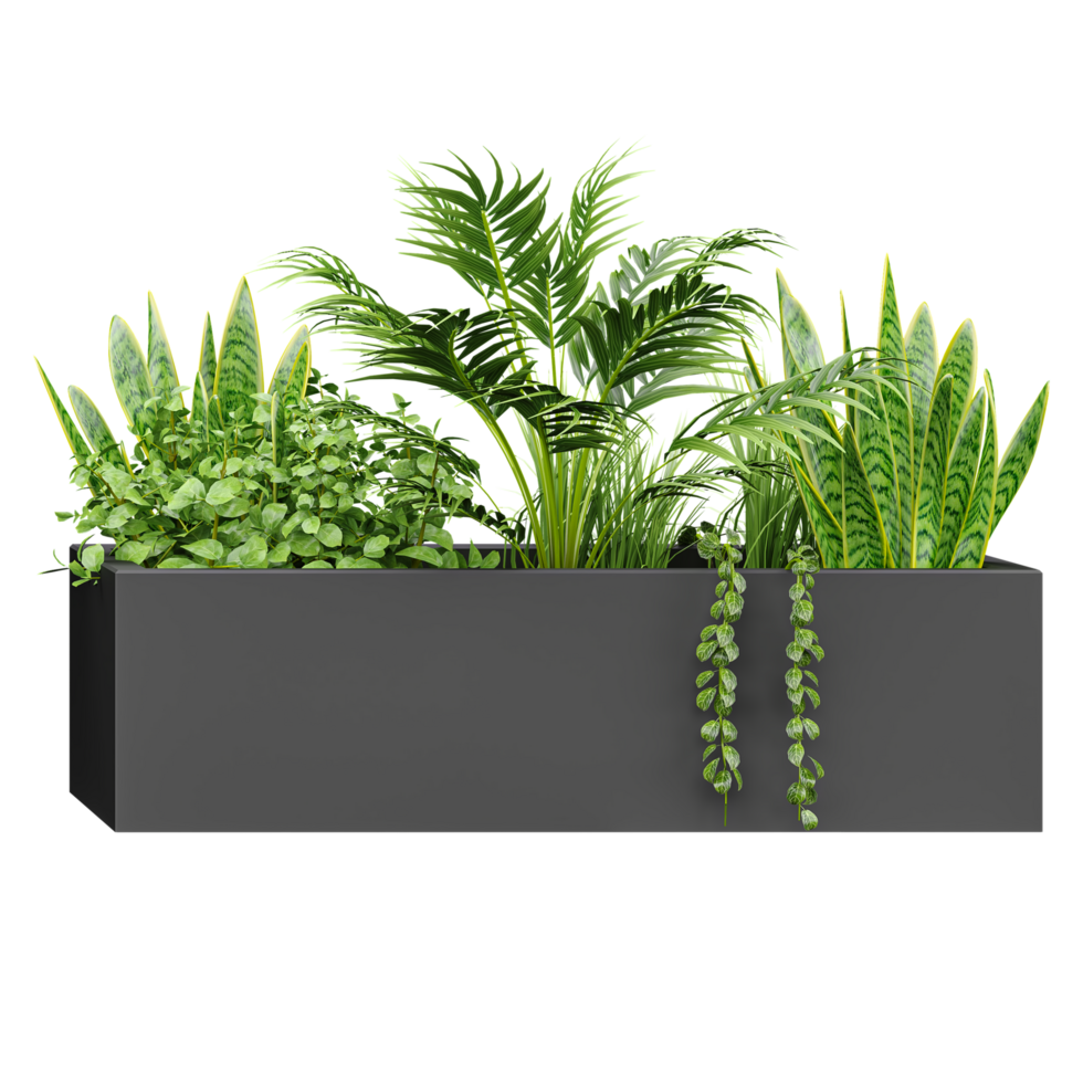 Rectangular Vase with diffrent Plants isolated on transparent Canvas png