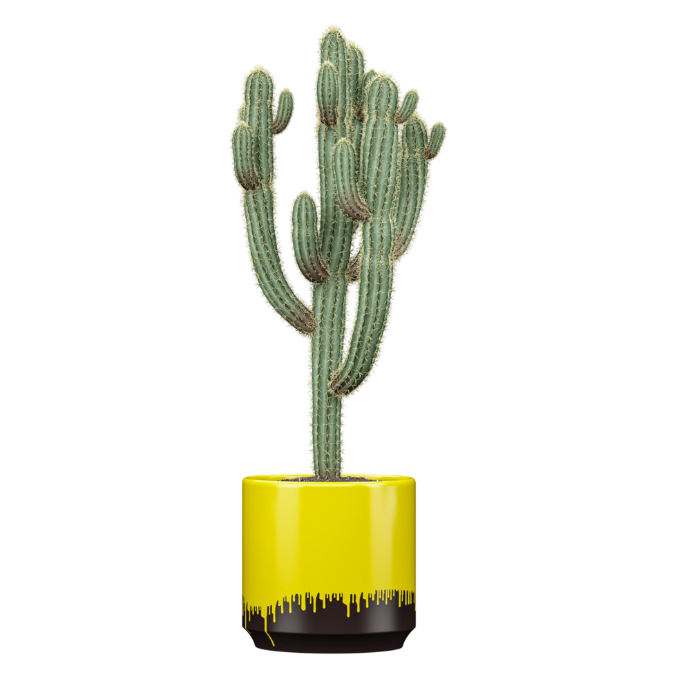 3d illustration of Saguaro plant in pot isolated on transparent canvas png