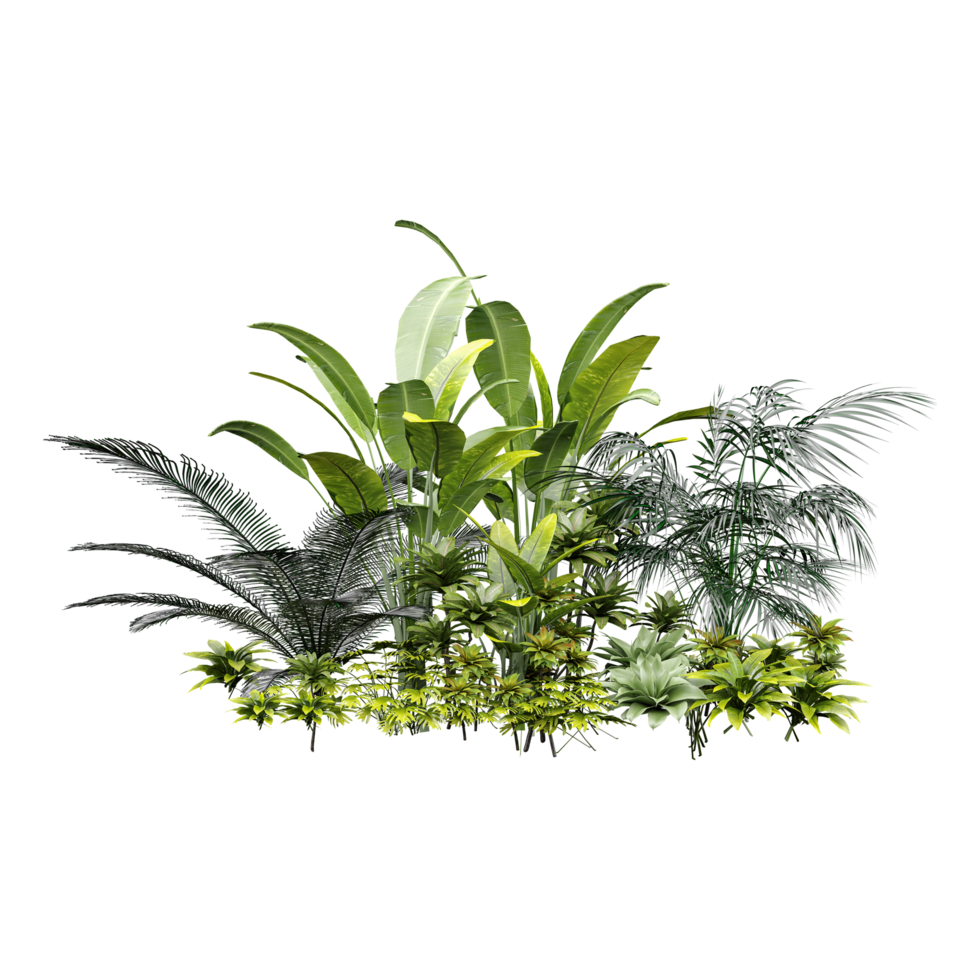 Jungle Grass Set of Green Plants Compositions on Ground Group of Bushes with plants png