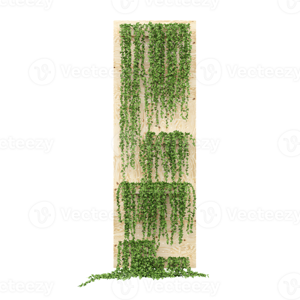 3d illustration of ivy green and flower isolated on transparent canvas png