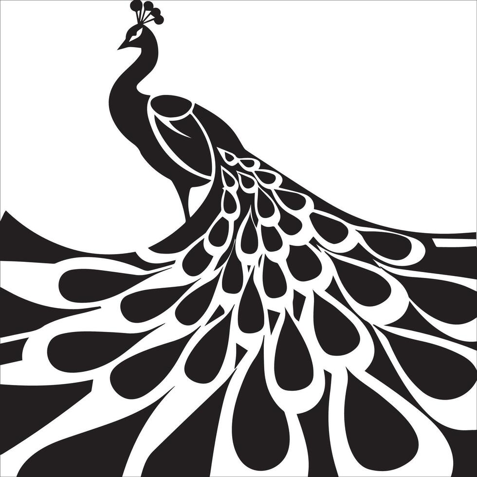 Graceful Peacock Motif vector