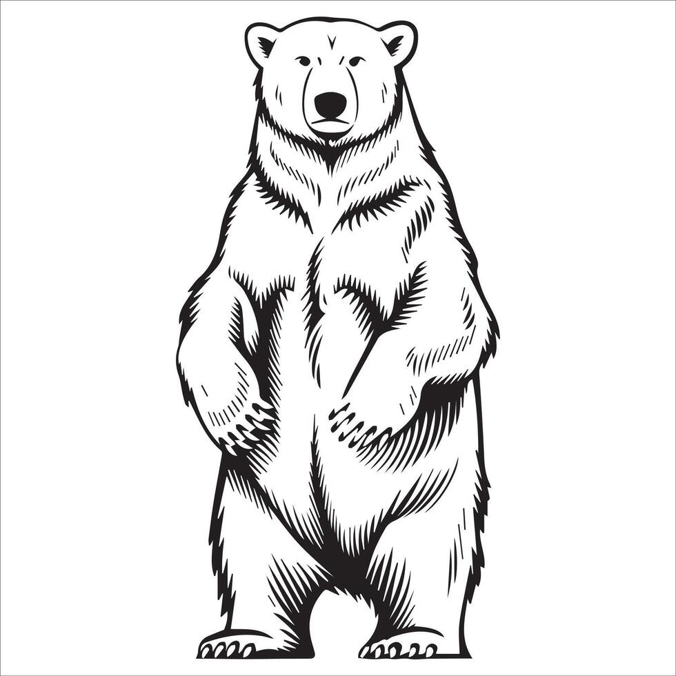 Regal Arctic Bear Pose vector