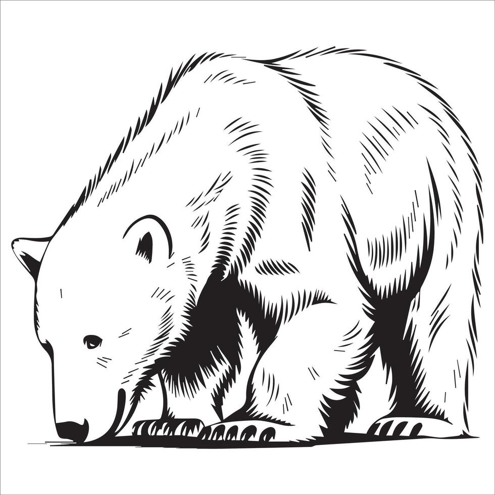 Adventurous Polar Bear Illustration vector