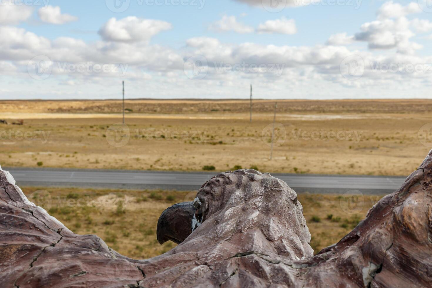 View of the Kazakhstan steppe from the back of an eagle photo