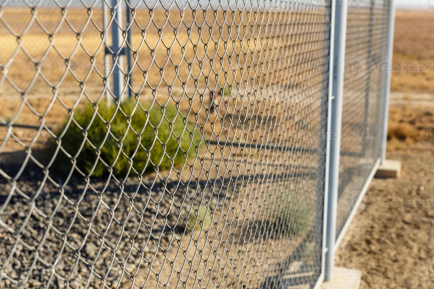 Metal wire fence or wire mesh steel photo