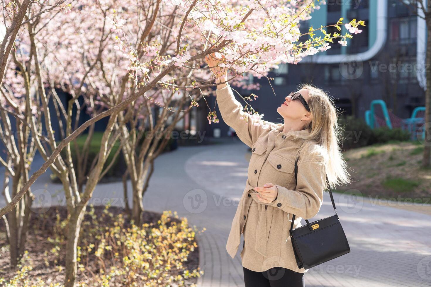Blonde touches a branch of blooming cherry standing in the park photo