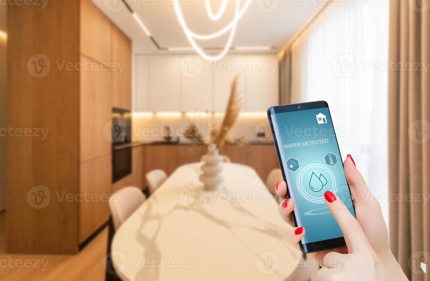 Close-up Of Person Hand Using Home Security System On Mobile Phone Outside The House photo