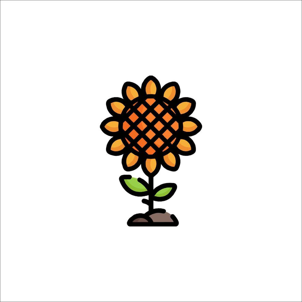 A sunflower with leaves and a stem on a white background vector