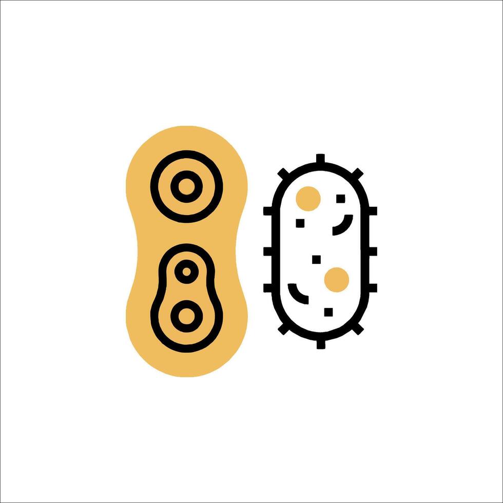 A pair of bacteria on a white background vector