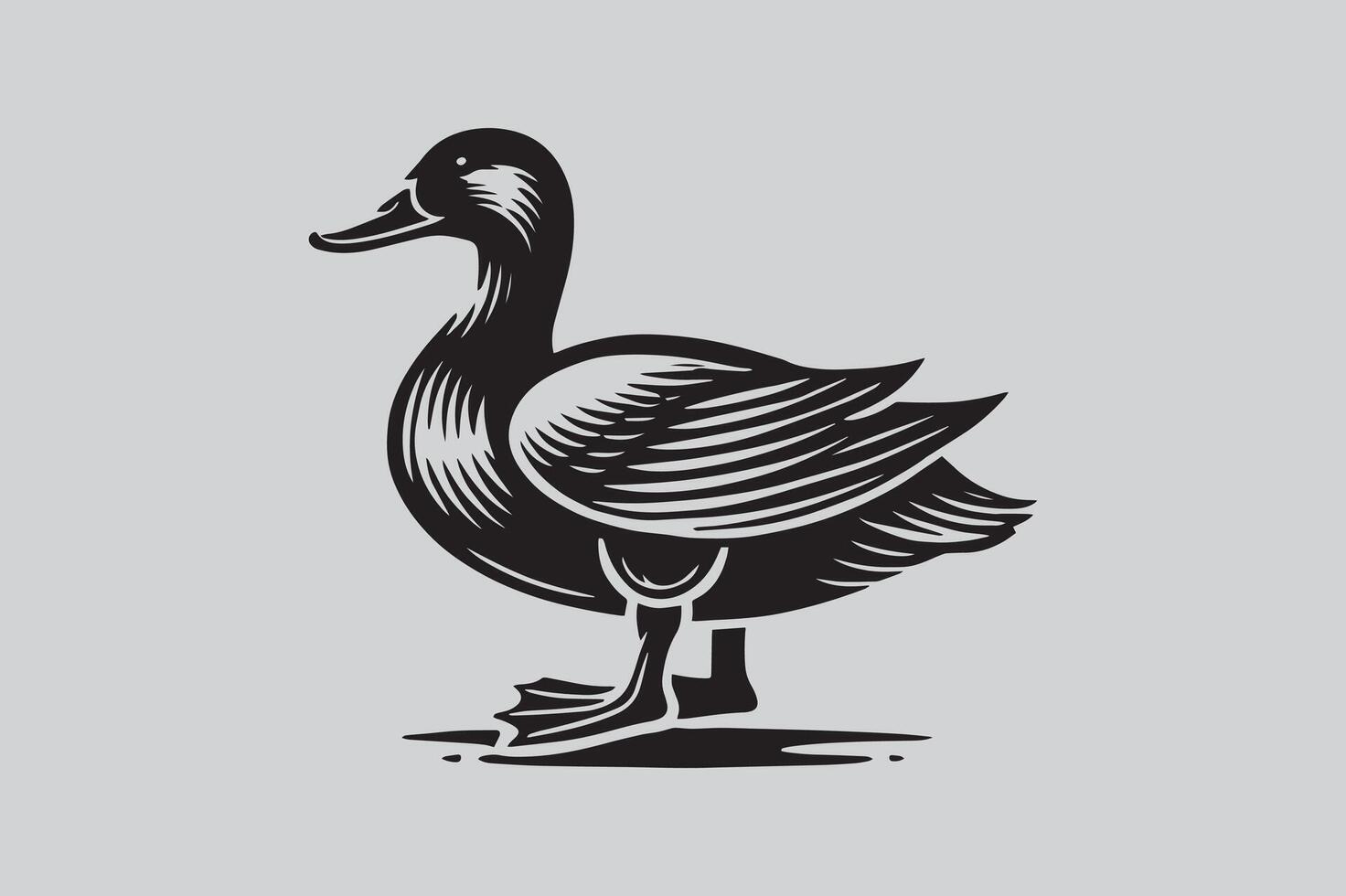 Graceful Swan Bird Silhouette for Digital Art vector