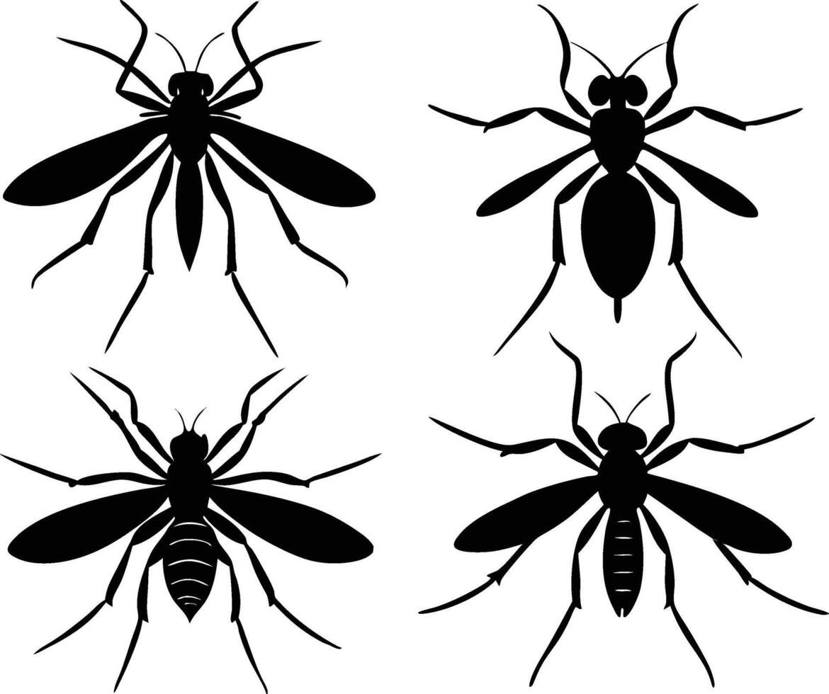 mosquito silhouette set vector