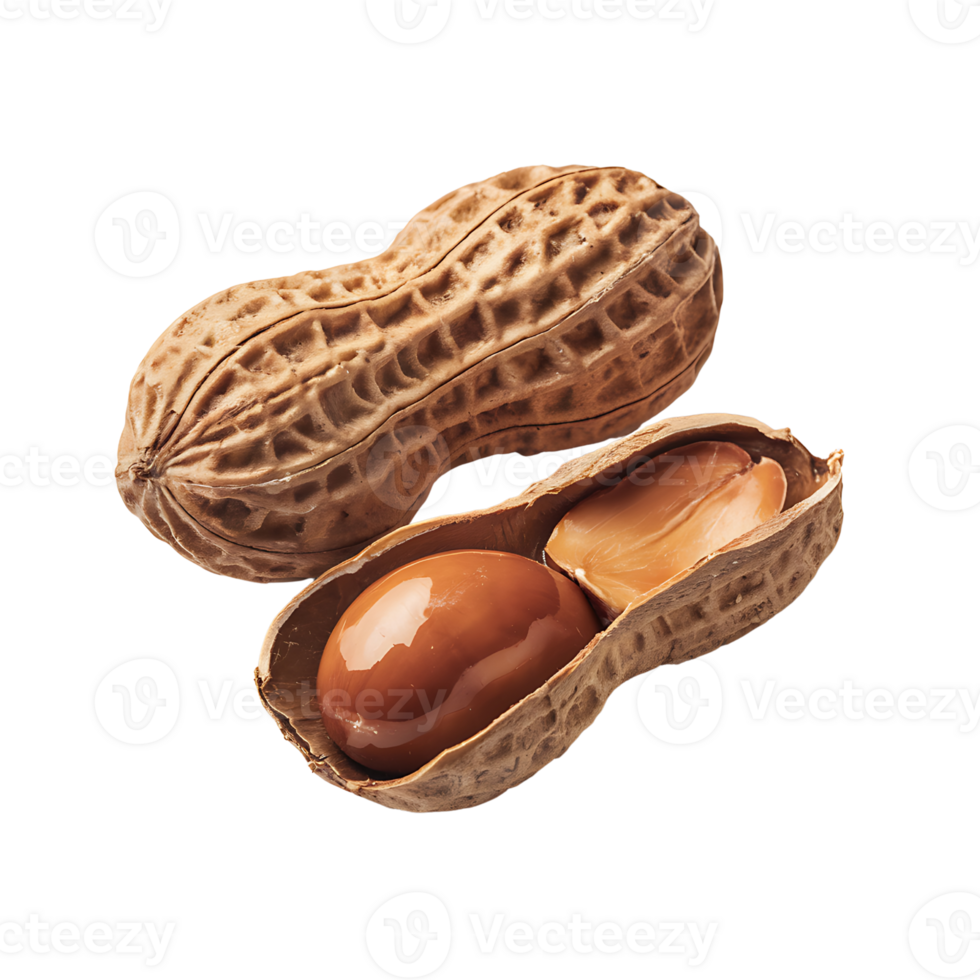 Close-up of Two Peanuts One Shelled, One Unshelled, isolated on transparent background png