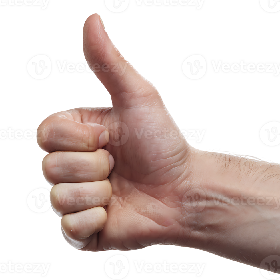 Thumbs Up A Positive Gesture of Approval and Encouragement isolated on transparent background png