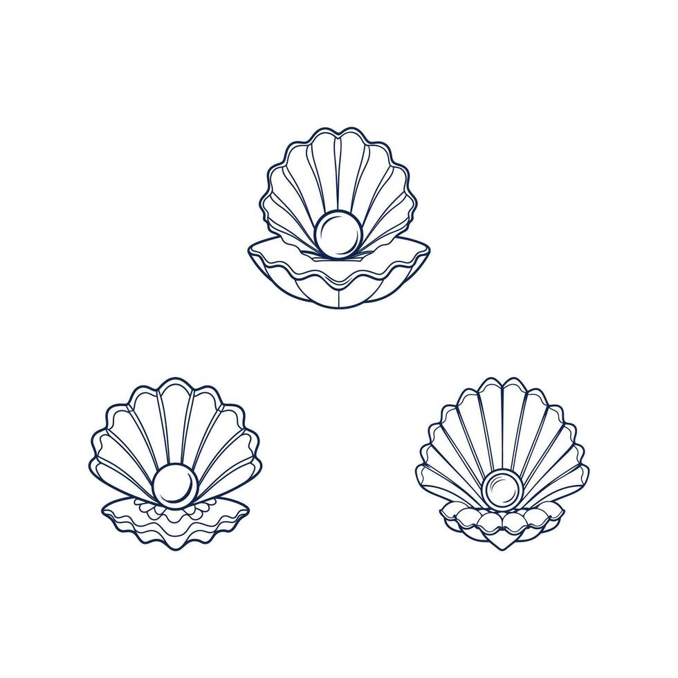 Nautical Pearl Shell Artwork vector