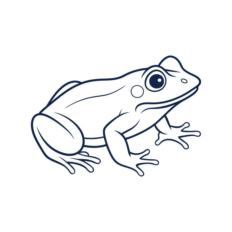 Elegant Frog Outline Drawing vector