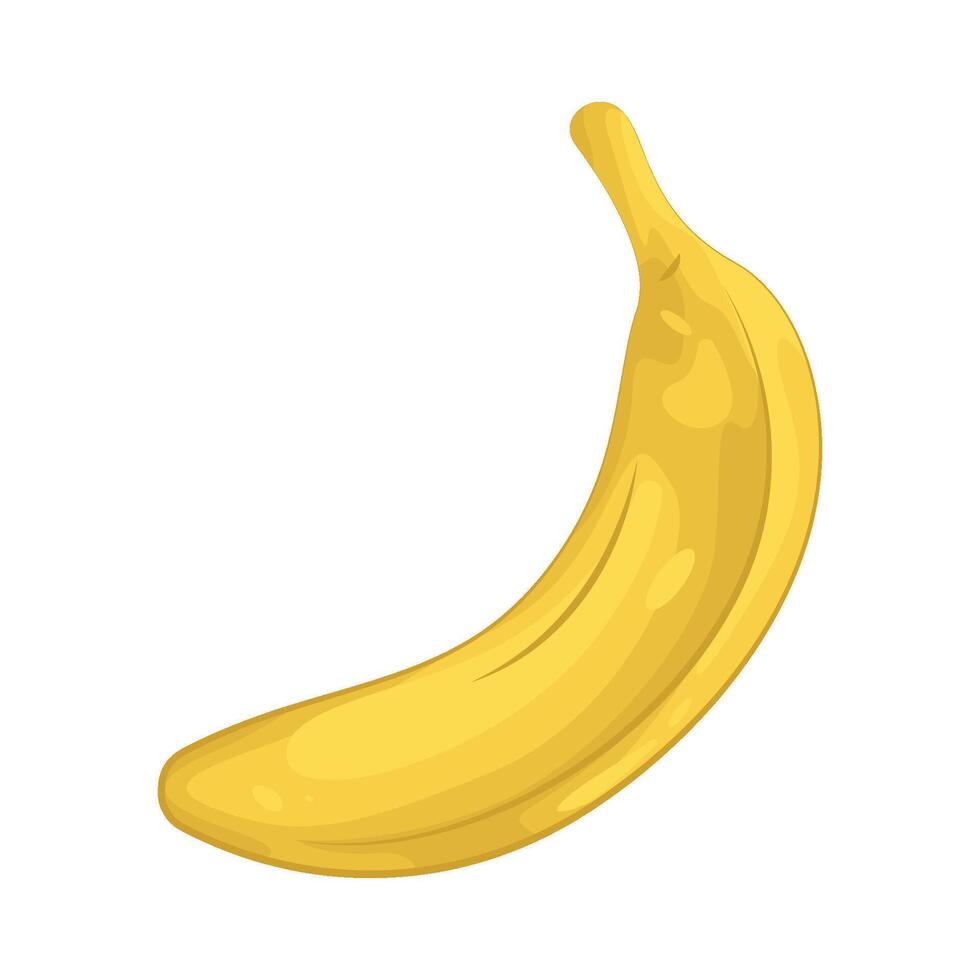 Illustration of banana vector