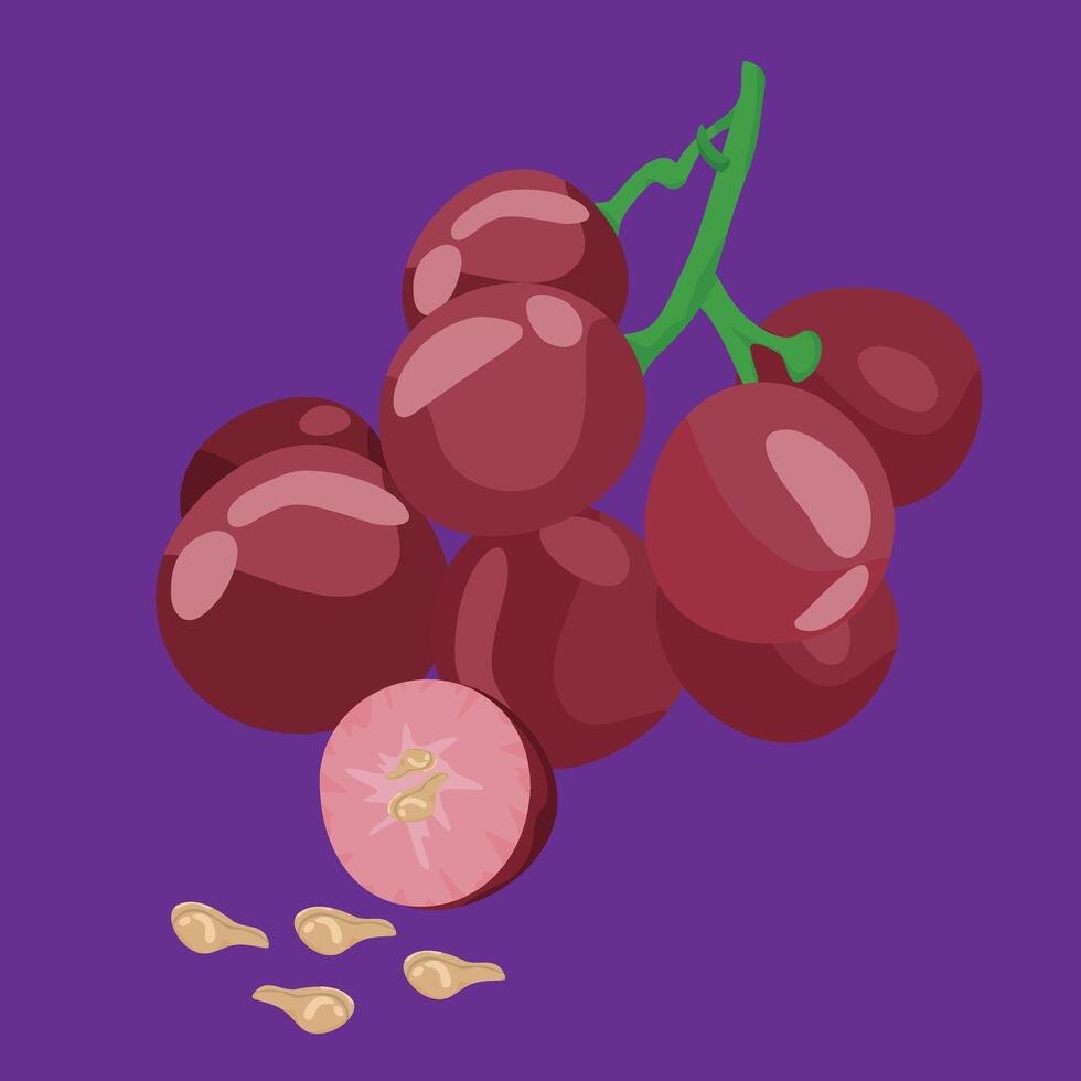 grapes half cut tropical exotic fresh fruit flat design vector