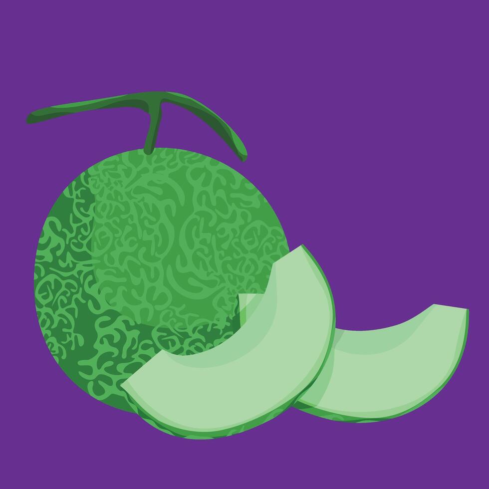 melon tropical exotic fresh fruit flat design vector