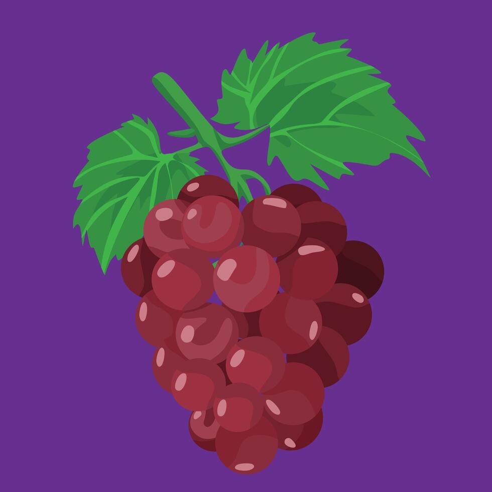 grapes full version tropical exotic fresh fruit flat design vector