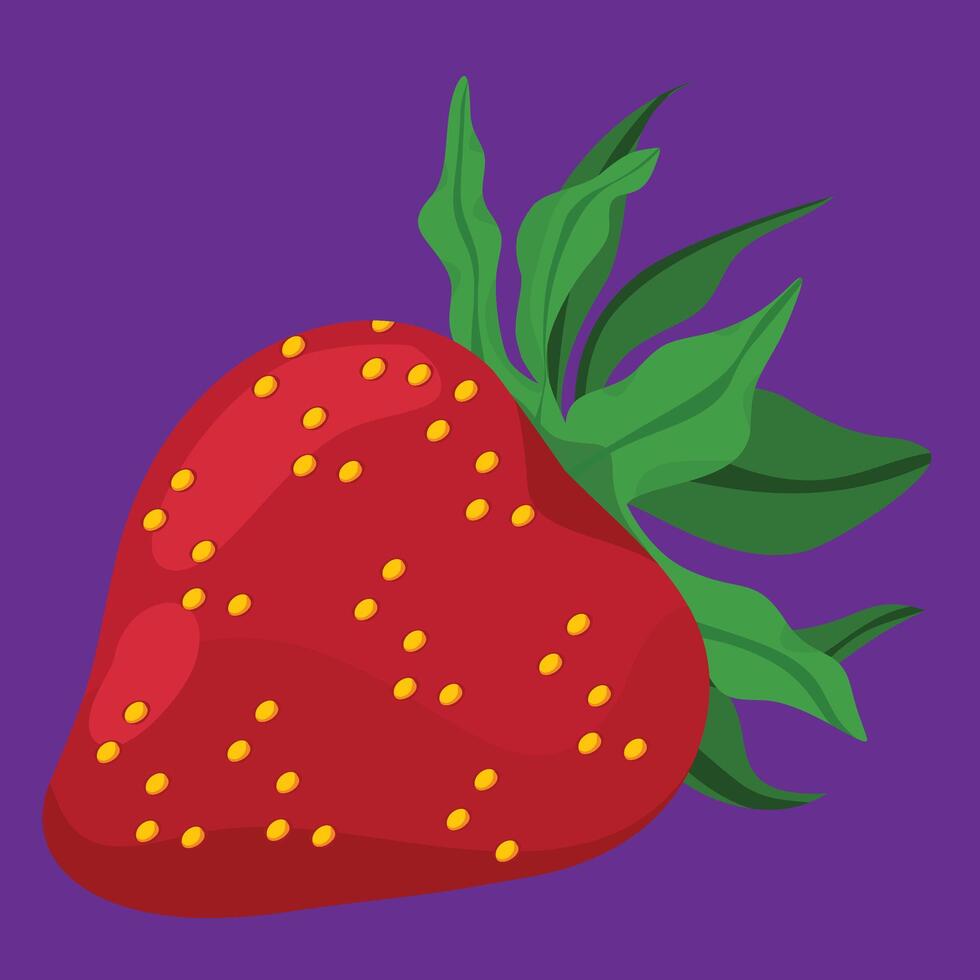 full strawberry tropical exotic fruit flat design vector